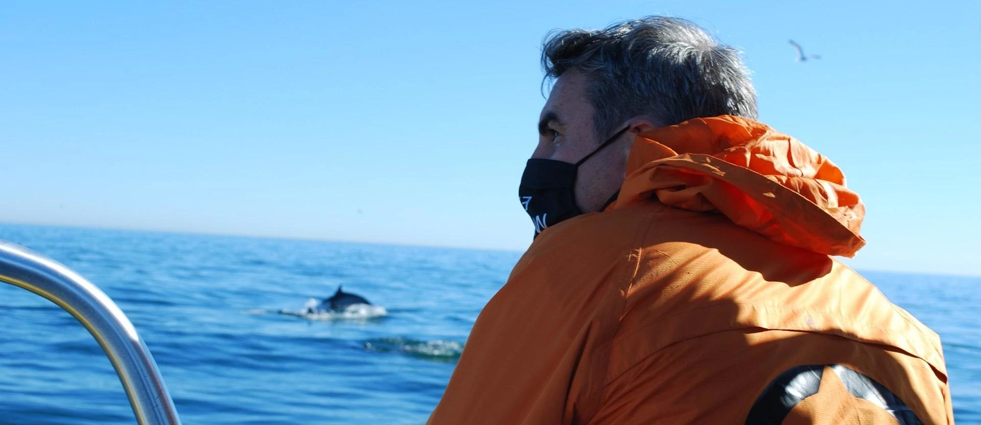 Responsible dolphin watching from a boat in Watamu Kenya